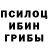 Псилоцибиновые грибы Magic Shrooms Juman Nimatulla