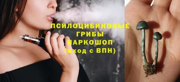 сатива Дмитриев