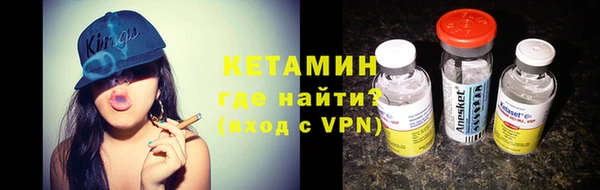 сатива Дмитриев