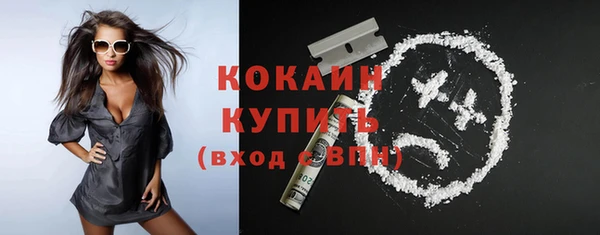 сатива Дмитриев