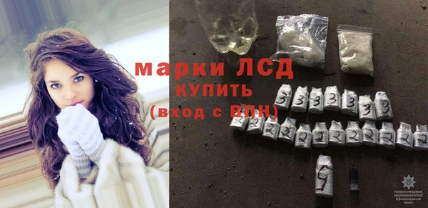 сатива Дмитриев