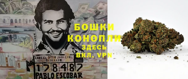 МДПВ Дмитров