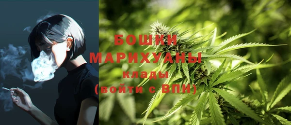 сатива Дмитриев