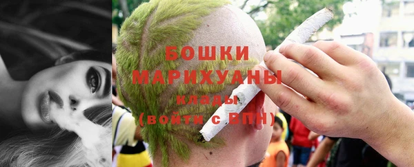 сатива Дмитриев