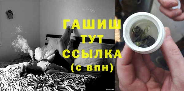сатива Дмитриев