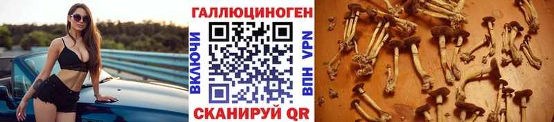 как найти наркотики Кизел Галлюциногенные грибы ЛСД